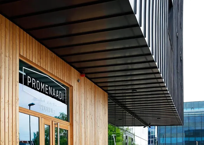 Dream Lägenhet Tallinn